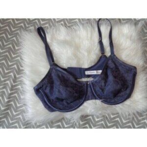 NWOT Le Mystere women's size 34C purple lined bra Retails $69